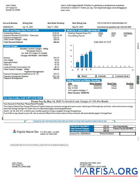 Blank USA Virginia Natural Gas utility bill template in Word and PDF formats